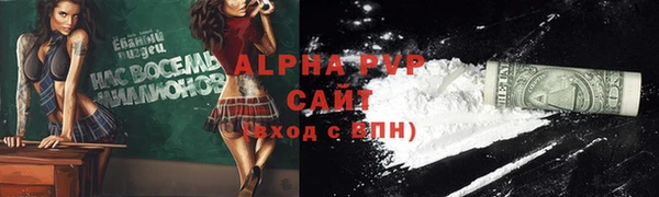 прущие грибы Гусиноозёрск