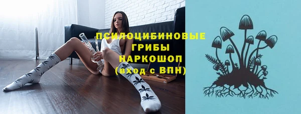 прущие грибы Гусиноозёрск