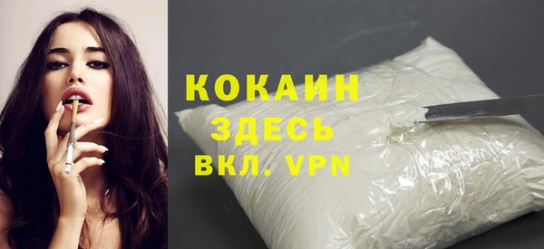 прущие грибы Гусиноозёрск