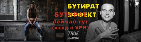 прущие грибы Гусиноозёрск