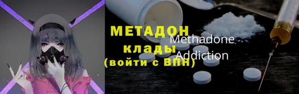 прущие грибы Гусиноозёрск