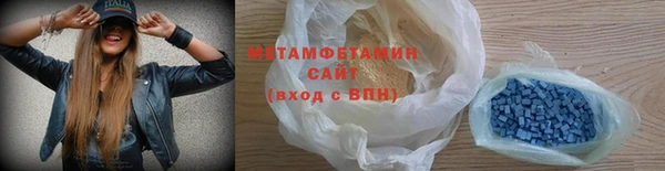 прущие грибы Гусиноозёрск