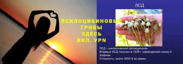 мдма Гусев