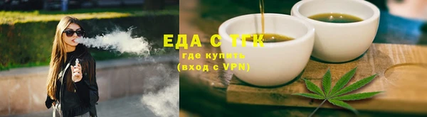 прущие грибы Гусиноозёрск