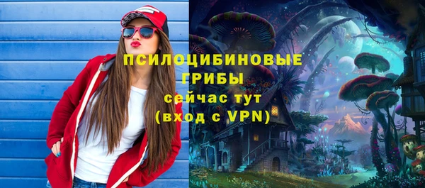 прущие грибы Гусиноозёрск