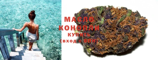 прущие грибы Гусиноозёрск
