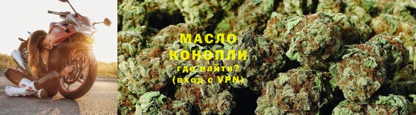 прущие грибы Гусиноозёрск