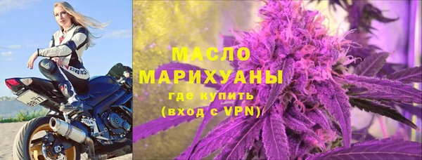 прущие грибы Гусиноозёрск