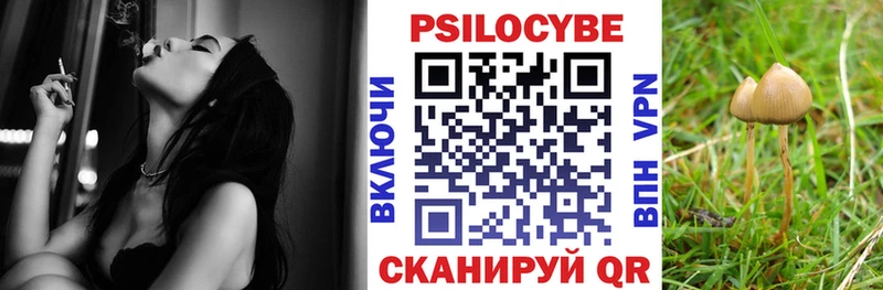 Галлюциногенные грибы Psilocybe  Купить закладки  Майский 